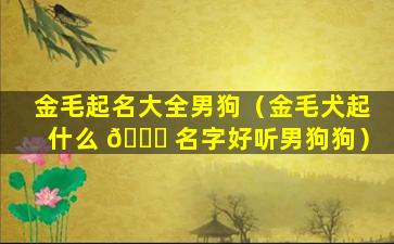 金毛起名大全男狗（金毛犬起什么 🕊 名字好听男狗狗）